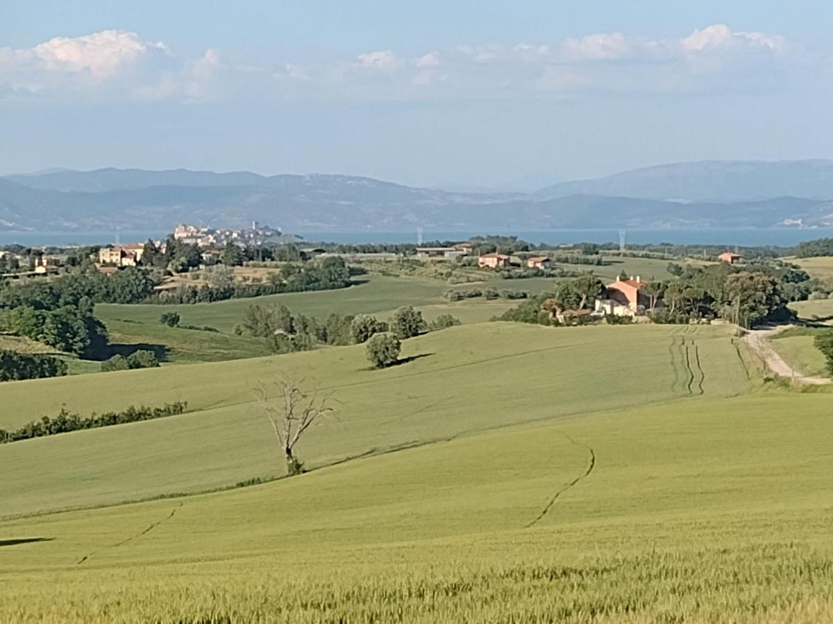Casa La Selvella Βίλα Gioiella Εξωτερικό φωτογραφία