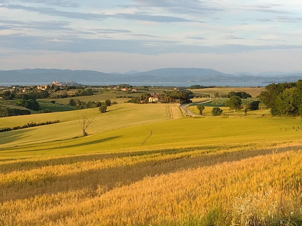 Casa La Selvella Βίλα Gioiella Εξωτερικό φωτογραφία